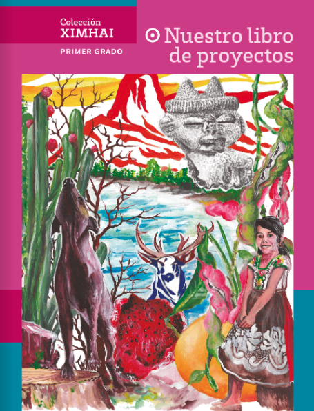 Nuestro Libro de Proyectos